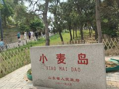 -小麦岛公园