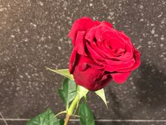 -江湖餐厅–重庆九宫格老火锅