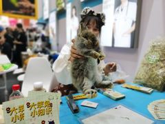 -东浩兰生上海世博展览馆