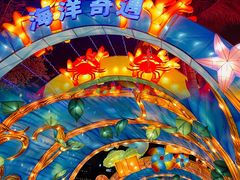 -欢乐海岸椰林沙滩-2025湾区超级灯会