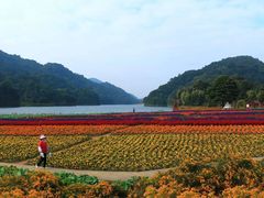 -广州市石门国家森林公园