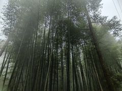 -綦江古剑山