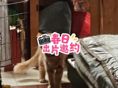 -宁波九龙湖开元度假村