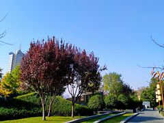 -西安城墙·碑林历史文化景区