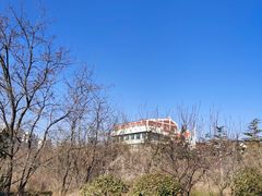 -即墨鹤山风景区