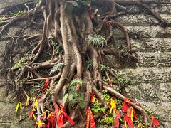 -重庆十八梯传统风貌区