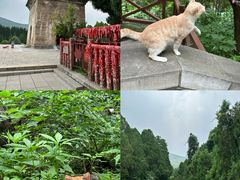 -四门塔风景区