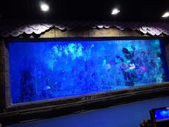 -梦幻海洋王国(吾悦广场张家港店)