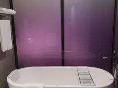 -南京禄口机场雅高铂尔曼大酒店