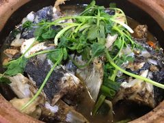 -华仔土鸡店(创意产业园店)