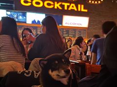 -HIB HUB公社(解放西路店)