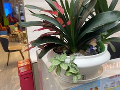 -希玛爱康健口腔(南山海岸城店)