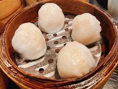 添运来虾饺皇-添运来(茶园奥园广场店)