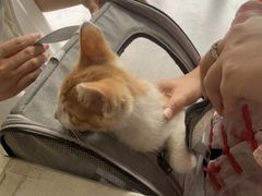 -宠颐生宠物医院·犬猫全科·皮肤科(商业街店)