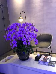 -SEBASTIAN塞巴斯汀