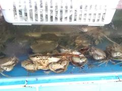 -沙头涌渔栏海鲜餐厅