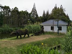 -上海长兴岛郊野公园