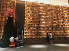 -深影国际影城(学院南路店CGS中国巨幕店)