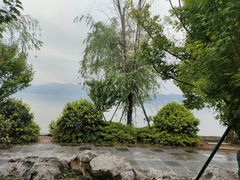 -东钱湖小普陀景区