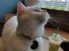 -凯德广场(武胜路店)