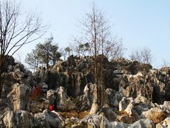 -千岛湖石林