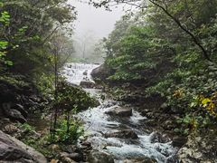 -白云源风景区