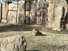 -齐齐哈尔龙沙动植物园