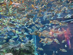 -成都浩海立方海洋公园