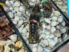 -船奇蒸汽海鲜·闽菜(八市海鲜总店)