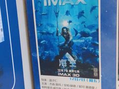 -星轶IMAX影城(桐乡吾悦广场旗舰店)
