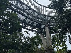-福道
