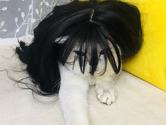 -武胜段记猪肝面(卓锦城店)