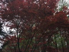 -大连理工大学(凌水校区)