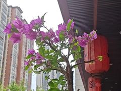 -衡地道·三菜一汤(水岸新城店)