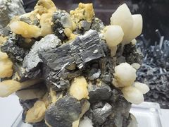 -湖南省地质博物馆