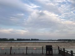 -合肥滨湖国家森林公园