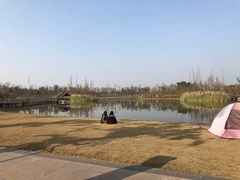 -白鹭湾湿地公园