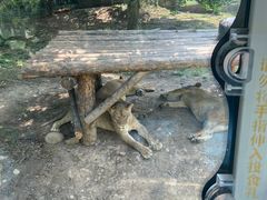 -西安秦岭野生动物园