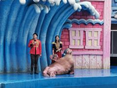 -华夏文旅海洋公园