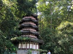 -深圳国际园林花卉博览园