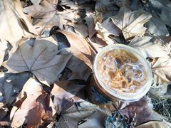 轻甜奶油冷萃-星巴克(南京同曦万尚城店)