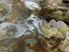 -凯盈阁·顺德私房菜·桑拿鸡