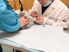 -康旭宠物医院(郑州总院)