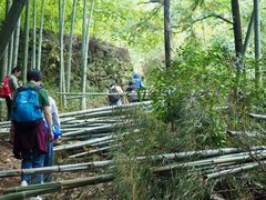 -会稽山峡洞漂流-上青古道