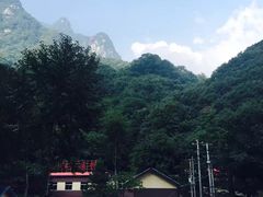 -陕西省红河谷森林公园