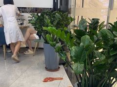 -深圳龙华星河COCO City(民治店)
