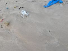 -东澳岛