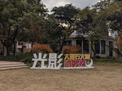 -中国福利会少年宫