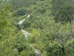 -北京西山国家森林公园