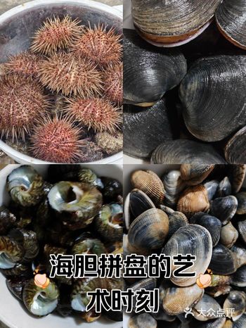 #0元玩转这座城 大连自然博物馆前的黑石礁海边真是一